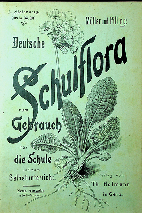 Muller u. Pilling Deutsche Schulflora: 1894. – [VIII]